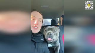 🐶😂 Funny Dog Fails Compilation 2026: Try Not to Laugh Challenge! 😂🐶 screenshot 2