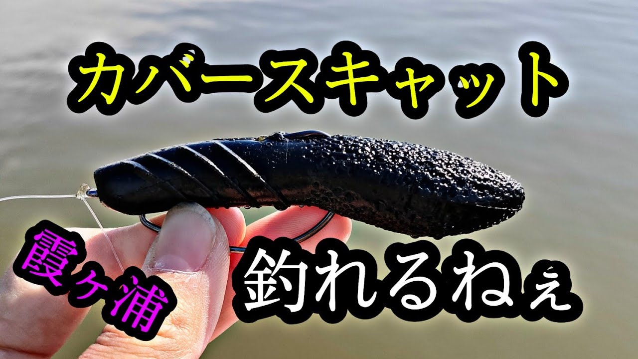 Springtime fishing in the Kasumigaura area using Cover Scat and