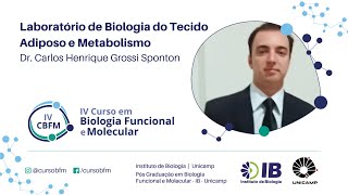 Laboratório de Biologia do Tecido Adiposo e Metabolismo - Professor Carlos Henrique Grossi Sponton Net Worth