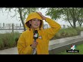 Nassau County sees downed trees, power line from Tropical Storm Debby