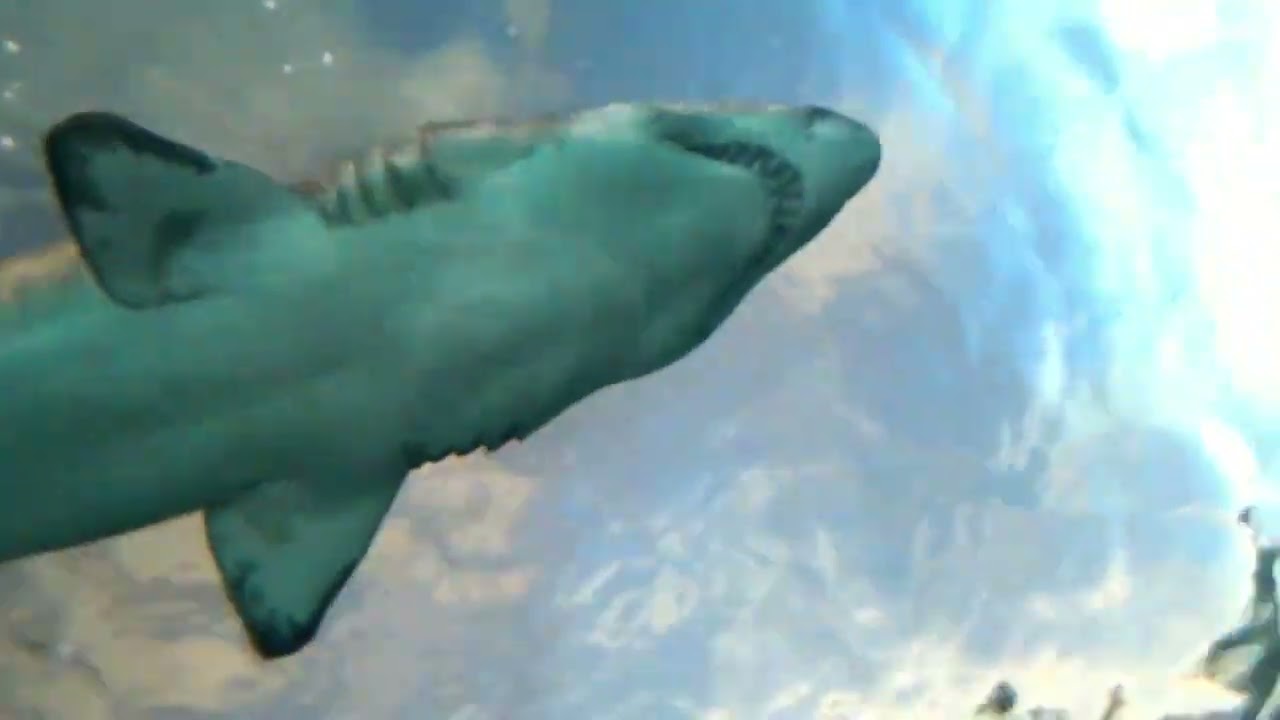 Nazi Sharks (2014) Chapter 2