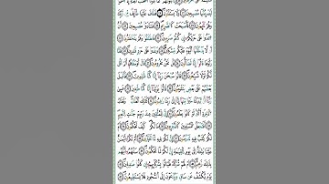 سور القلم من الآية (16) إلى الآية (22) بصوت القارئ ياسين الجزائري