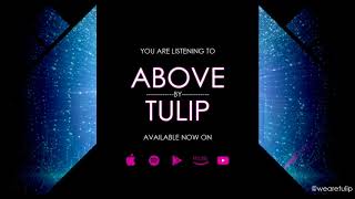 TULIP - Above (Official Audio)