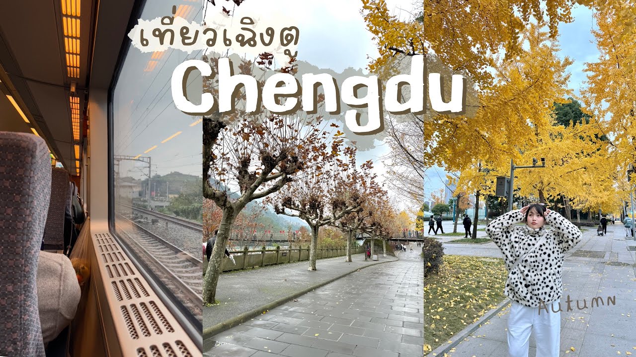 Видеоблог | Чэнду осенью, прекрасная атмосфера, плотина Дуцзянъянь, Китай