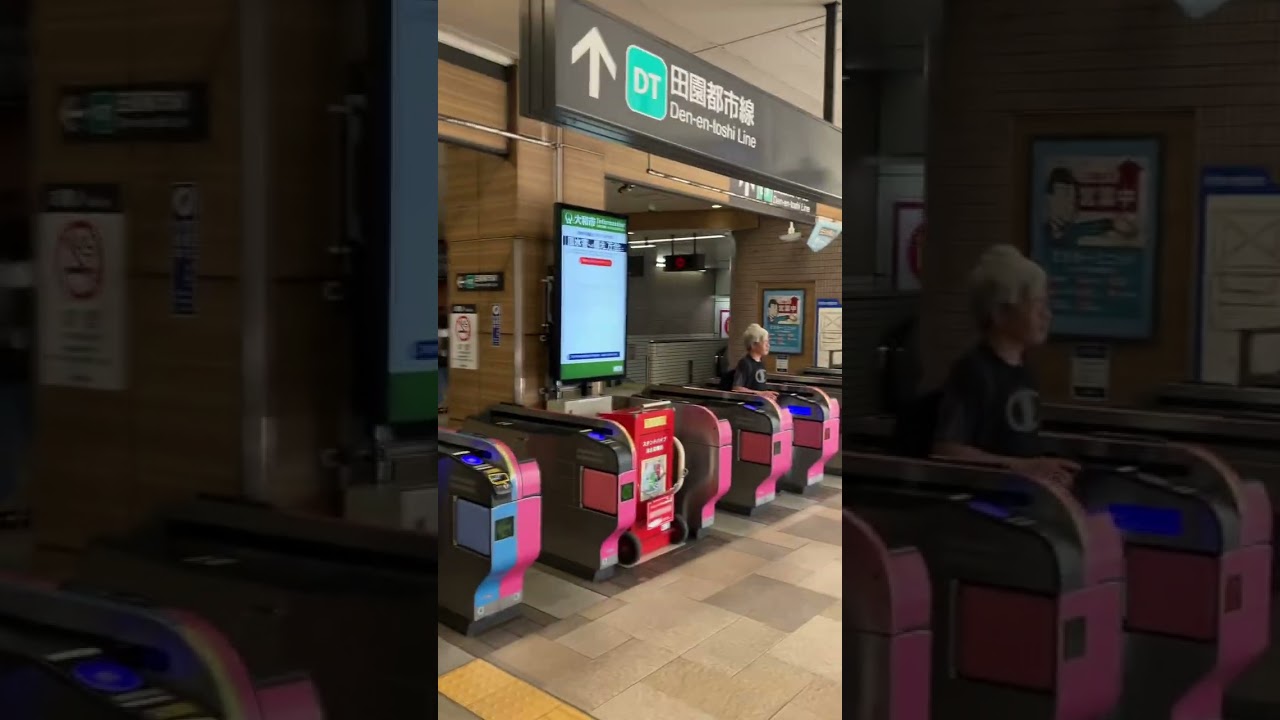 中央林間周辺撮影