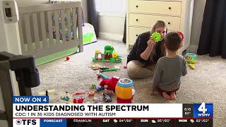 Understanding the autism spectrum