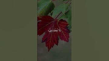 القرآن الكريم