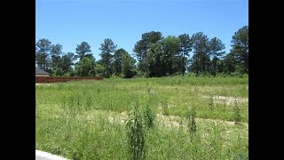 Summers Cook & Co. - Tbd Mallard Cove Ln