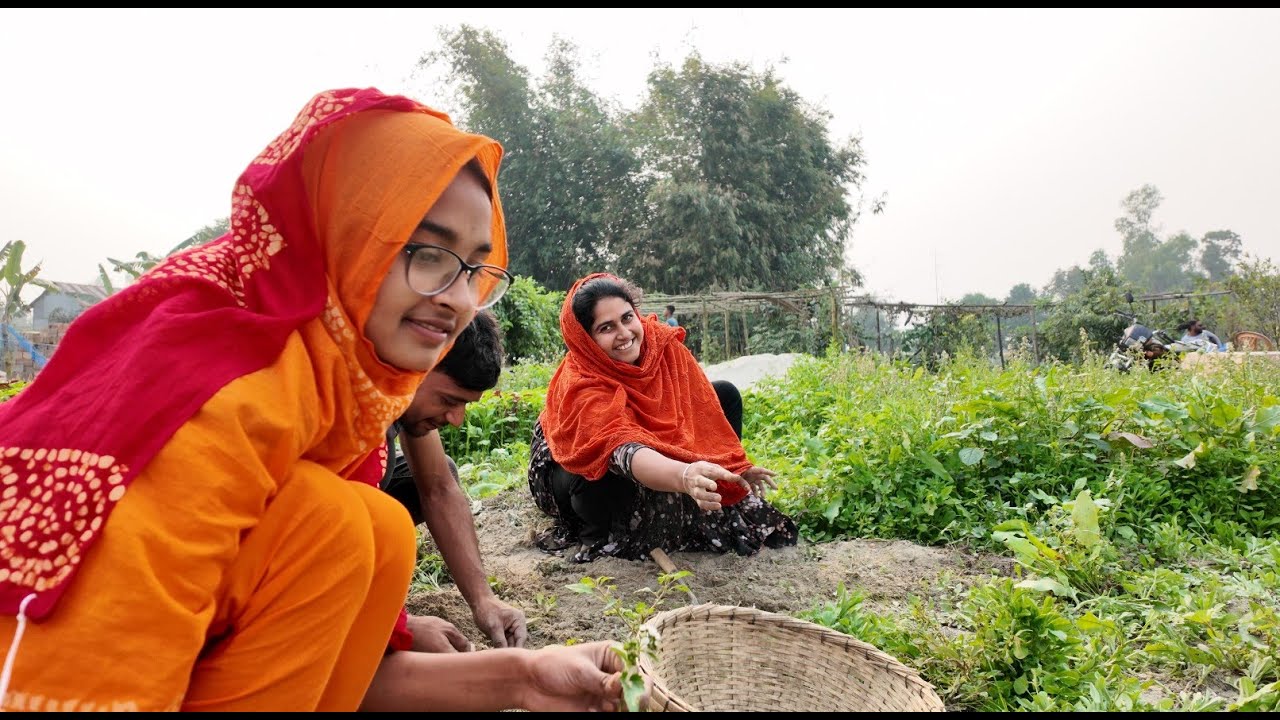 ভালোবাসা দিবসে আলু তোলার প্রতিযোগিতা | Doyel Agro
