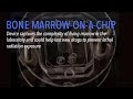 Bone Marrow-on-a-Chip