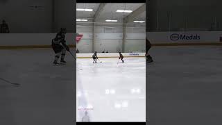 use the D - Hey Stripes! The Micd Up GoPro Hockey Refcam