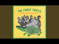 The funky turtle