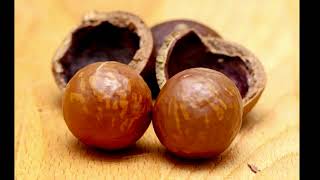 Base nut cracker promo video Medium Net Worth