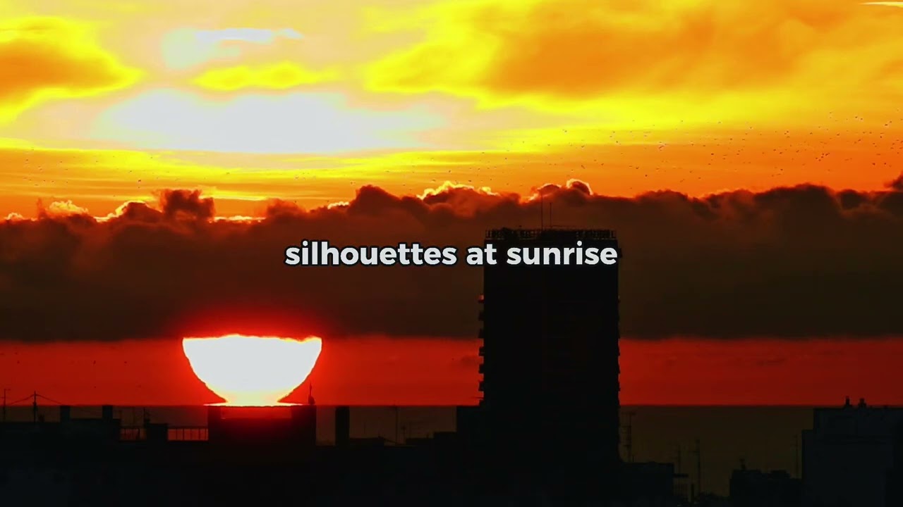 Silhouettes At Sunrise