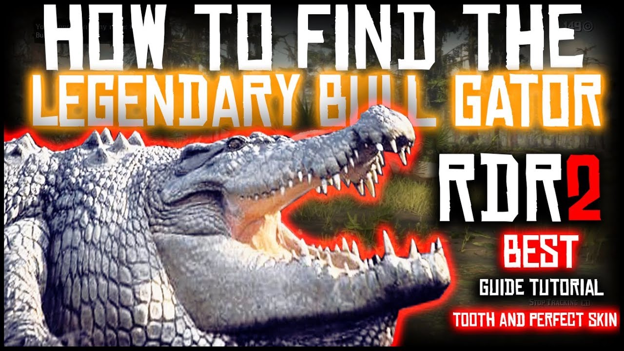 HOW TO FIND THE LEGENDARY BULL GATOR ALLIGATOR | PERFECT CROCODILE SKIN | RED REDEMPTION 2 - YouTube