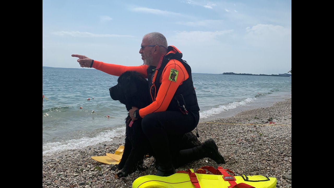 Corri Reef…fa 7 anni il cane che vorrebbe salvare il mondo