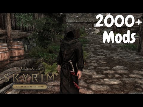 Skyrim Nolvus 2000+ Mods Playthrough Part 9 | A New Mysterious Companion | No Commentary