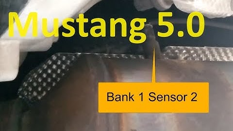 Location of the Oxygen Sensors 2020 Ford Mustang 5.0 (2015-2023)