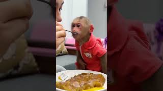 Funny As Hell Lala And Mom Encounter Difficulties When Developing A Novel Cake Recipe