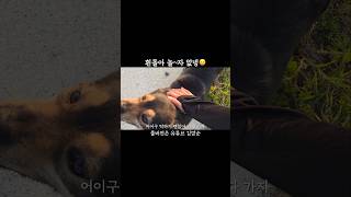 깜머니 깜순이 칭구만나러 갔는데 못 만나고 와서 실망하는 거 되게 속상해하심 #shorts