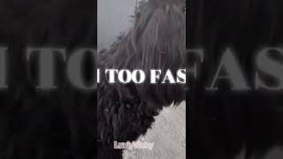 didn't know what to post so I posted this