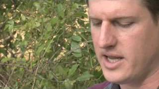 1 Corinthians - Bibledex