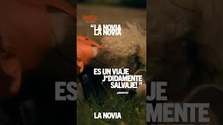 ¿Te atreves?  | #LaNoviaLaPelícula