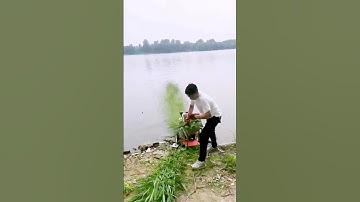 The cutting process of the fodder = Good tools can improve efficiency.