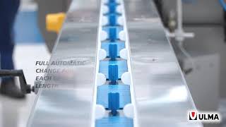Flow pack machinery for fruit and vegetalbes - trayless apples ATLANTA