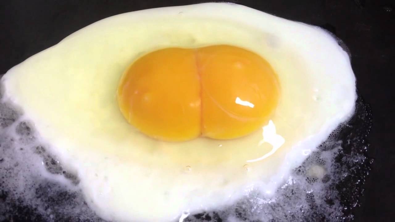 ふたご玉子でした 黄身ふたつラッキー Lucky Twin Egg - YouTube