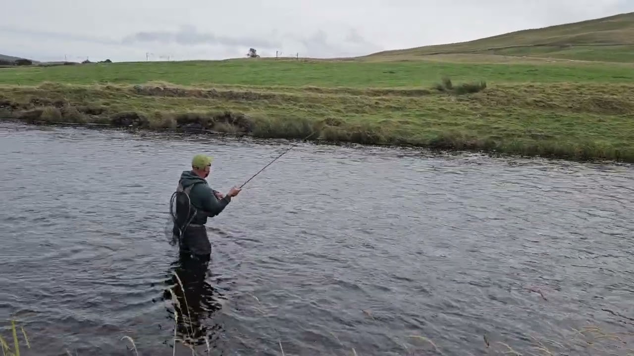 River clyde fishing. Monster brown for george 👌🎣