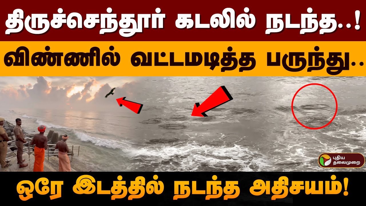 திருச்செந்தூர் கடலில் நடந்த..! விண்ணில் வட்டமடித்த பருந்து.. ஒரே இடத்தில் நடந்த அதிசயம்! | PTD