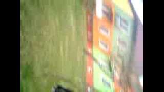 Blbci Roku 2011 Z Dubňan