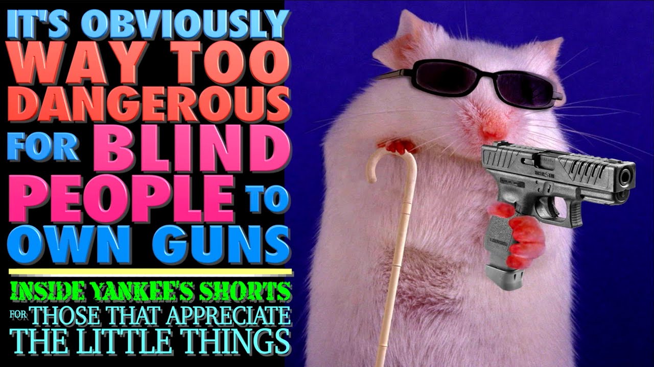 It's Obviously Too Dangerous for Blind People to Own Guns!?!