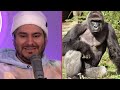 Rare Interview w/Harambe's Zookeeper