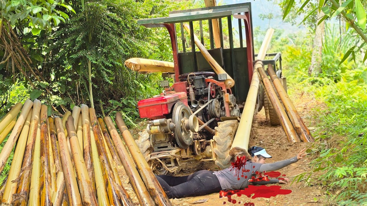 agricultural truck and the unlucky banana girl 