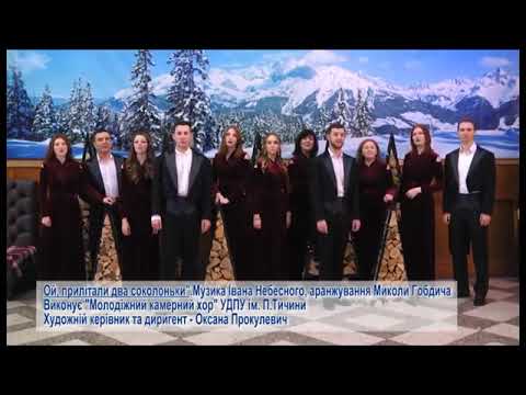 І Небесний Ой прилітали два соколоньки I Nebesnyi Oh Two Falcons Have Arrived 