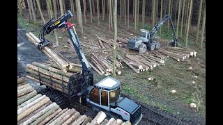 🌲 Logset 10H *SOUND* • Powerful Fin • HarvesterAction • Forstbetrieb Schweinsberg • Forestwork 🌲