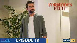 Forbidden Fruit Episode 19 | FULL EPISODE | TAGALOG DUB | Turkish Drama