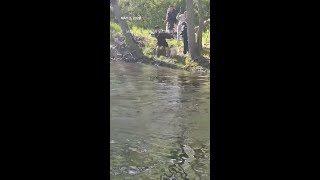 8-year-old boy attacked by beaver at New Jersey park, hospitalized