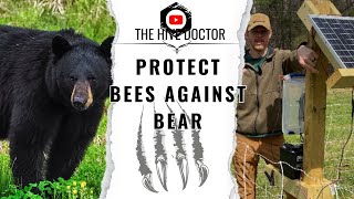 Protect your Beehives//The 5 Elements of a Bear Fence//Don't leave your Hives Vulnerable/ Made easy