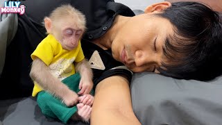 Monkey Lily obediently prepares breakfast while dad is sleeping