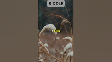 "Enigmatic Riddles: Can You Solve This Ice-Cold Mystery?"❄️🤔