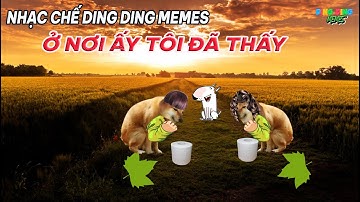 Nhạc chế Ding Ding memes: Ở nơi ấy tôi đã thấy...