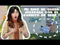 Parque Infantil ♡ Sims Freeplay