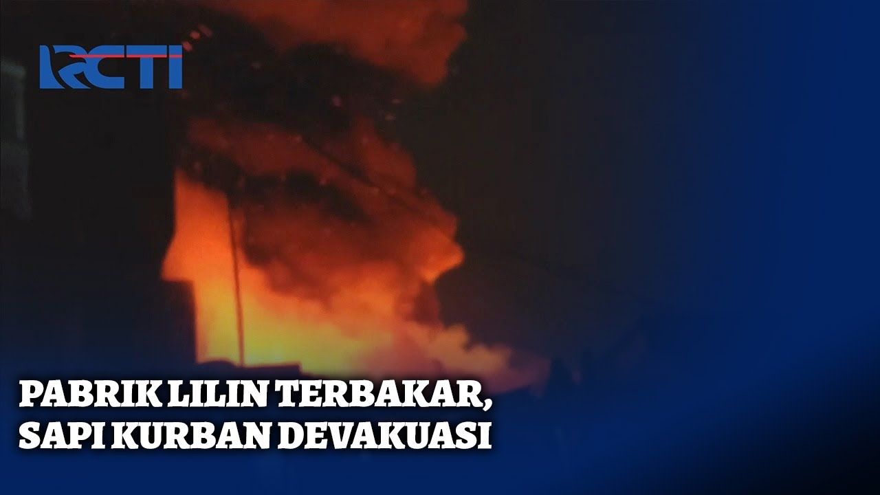 Pabrik Lilin Terbakar, Sapi Kurban Dieveakuasi | SIS | 06/06