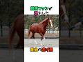 競馬ファンが恋をした、黄金の逃げ馬 #競馬#horse