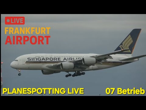 LIVE🔴 Frankfurt Airport Planespotting | Sunday Action | BOX623 from BOM