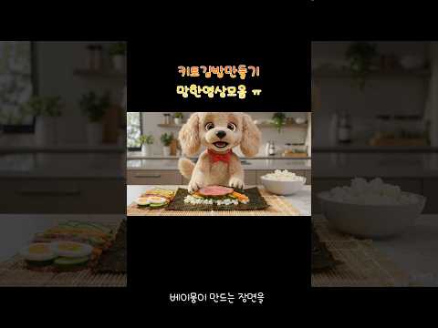 키토김밥 다음엔 잘 만들어보쟈! #강아지 #소원이의다중생활