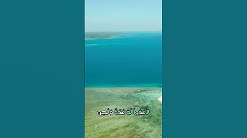 سورة التوبة و،.كا.؛نك تسمعها لأ؛و،.ل مر.ة💙؛،🏵️💟؛،🌸🌳💘🌹بصوت الشيخ حمزة مد،بو.ح 💜💝،،💖🌼💛،.💔💞،🌹